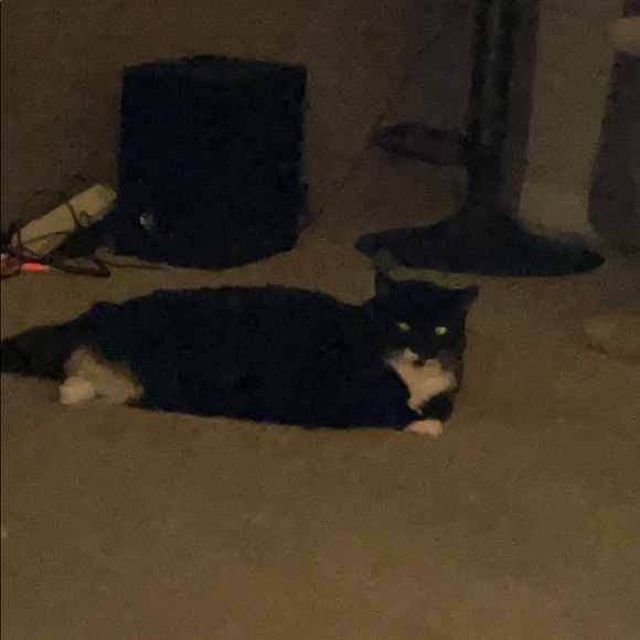 Meet your Posher, Edwar - Picture 1 of 1